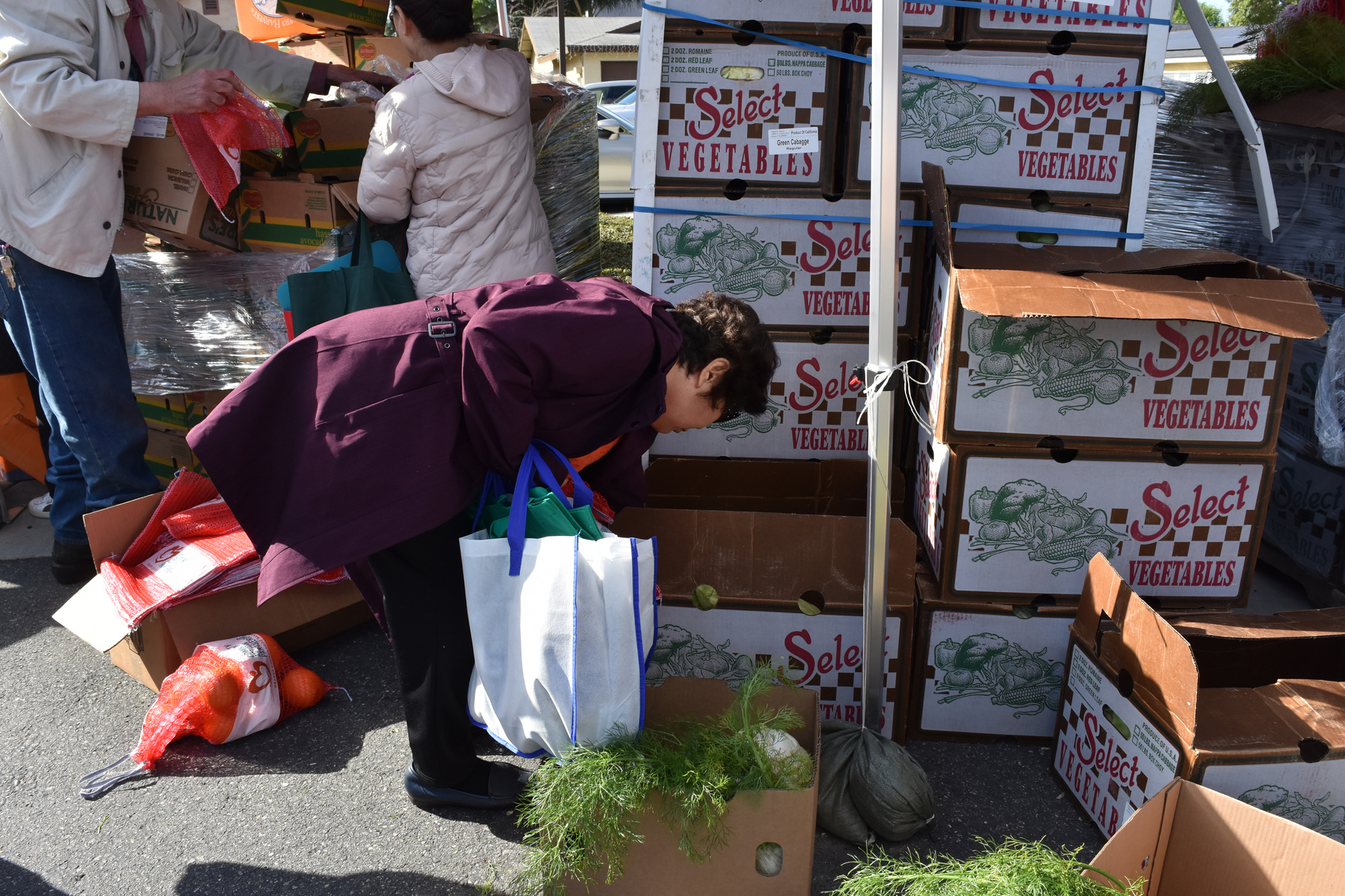 Woman choosing from a selection of groceries at a resource fair