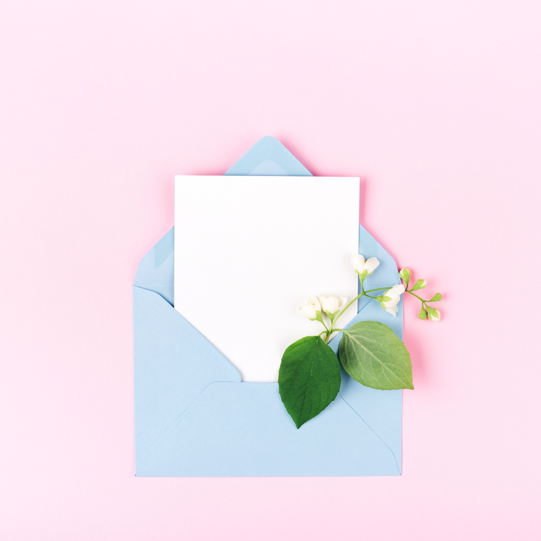 A white sheet of paper lays under a sprig of flowers and sits in a blue envelope against a pink backdrop